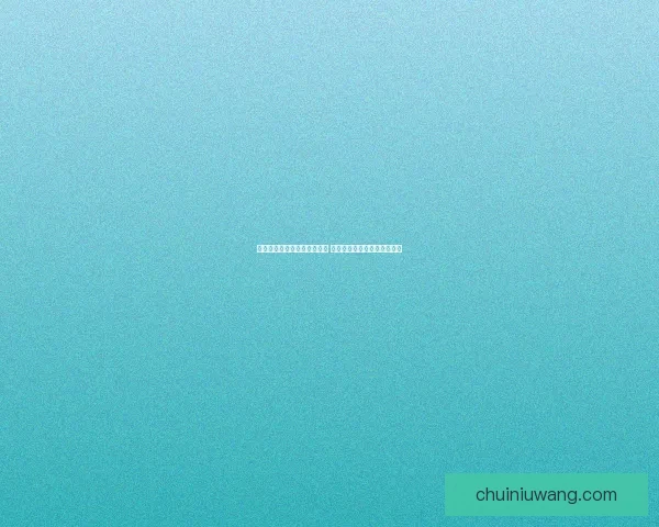 巧克力和辣椒酱能否带上飞机 详细解析与国际航空规定解读